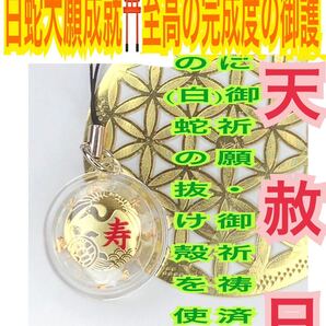 白蛇の抜け殻 脱け殻 亀 カメ 鶴 ツル ストラップ チャーム メモリーオイル 強力な白蛇のお守り【天赦日ご祈祷済み】財布 寿 開運 22
