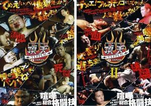 STREET FIGHT 頂天 TEPPEN JAPAN 全2枚 1・2 レンタル落ち セット 中古 DVD