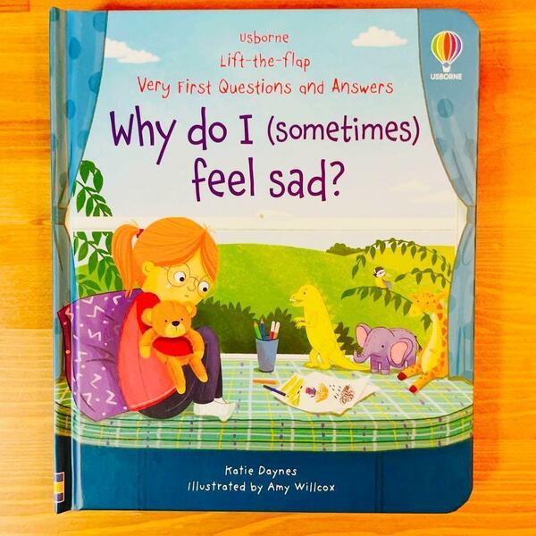 英語絵本why do I (sometimes) feel sad しかけ絵本