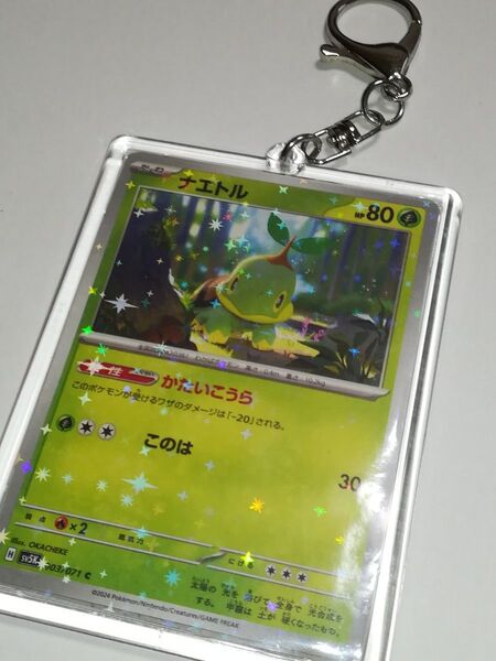 ナエトル　ポケモンカード　キーホルダー