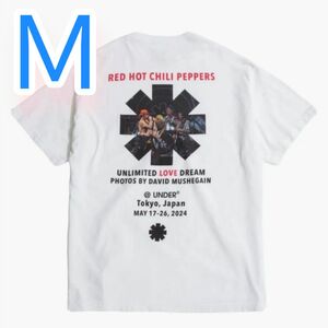 Mサイズ DAVID MUSHEGAIN Graphic Tee RHCP Ron Herman ロンハーマン レッチリ Tシャツ