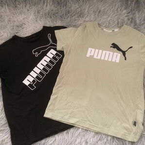 PUMA半袖シャツ150cm3枚セット