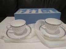 ☆未使用 Wedgwood ☆ウェッジウッド SELESTIAL PLATINUM セレスティアル プラチナ カップ＆ソーサー 2客セット☆_画像1