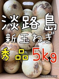 淡路島 新玉ねぎ 秀品 5キロ 送料込み！農家直送！