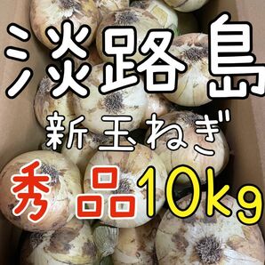 淡路島 新玉ねぎ 秀品 10キロ 送料込み！農家直送！