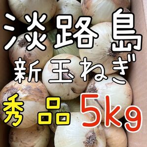 淡路島 新玉ねぎ 秀品 5キロ 送料込み！農家直送！