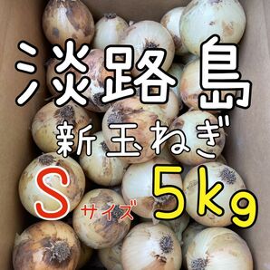 淡路島 新玉ねぎ S 秀品 5キロ 送料込み！農家直送！