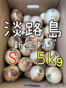 淡路島 新玉ねぎ S 秀品 5キロ 送料込み！農家直送！