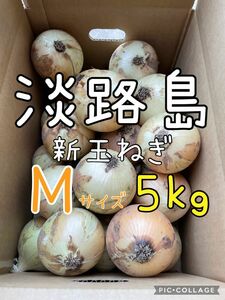 淡路島 新玉ねぎ M 秀品 5キロ 送料込み！農家直送！