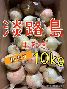 淡路島玉ねぎ 訳あり 10キロ 送料込み！農家直送！