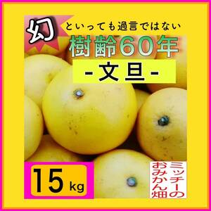 【北海道 沖縄のお客様用】《訳あり》ぶんたん土佐文旦フルーツ果物くだもの果実みかん柑橘《文旦／えひめ産》