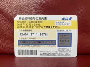 ANA株主優待優待券・2024.11.30迄有効/2枚セット　番号通知対応可能