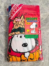 昔の キャラパン SNOOPY スヌーピー 総柄 トランクス M メンズ キャラクター 日本製 レトロ 荻原 下着 アンダーウェア_画像1