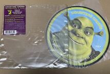 送料込 Counting Crows - Accidentally In Love 7インチ ピクチャー盤 レコード / シュレック, Shrek 2 / 602498628829_画像1