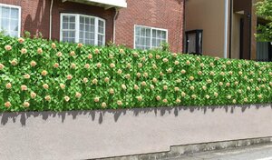  new goods @ eyes .. green fence flower attaching ( veranda eyes .. effect green wall green curtain sunshade sunshade veranda eyes .. fence )