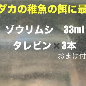 メダカの稚魚　針子の育成に！！　ゾウリムシ33ml×3本　エビオス錠5粒付