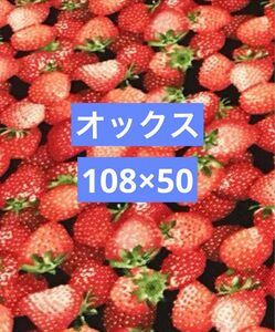 オックス生地　オックス　生地　イチゴ柄生地　いちご柄　イチゴ　いちご　108×50 黒