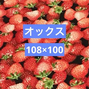 オックス生地　オックス　生地　いちご柄生地　イチゴ柄　イチゴ　108×100 黒