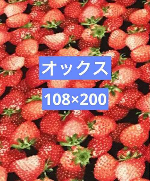 オックス生地　オックス　生地　いちご柄生地　いちご柄　イチゴ柄　いちご　108×200 黒