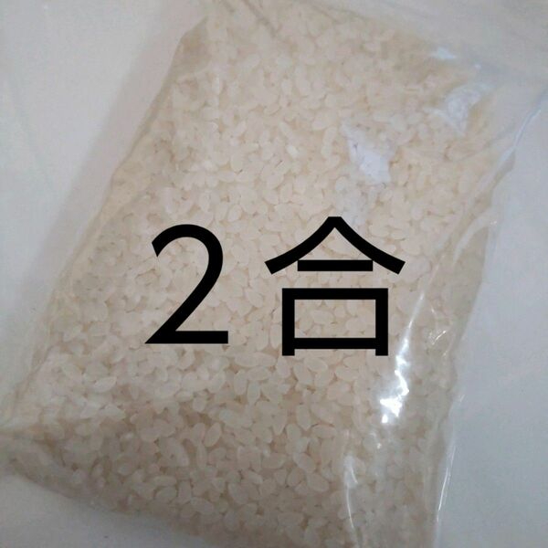 ちょこっと米★岐阜ハツシモ白米2合 令和 5年秋収穫
