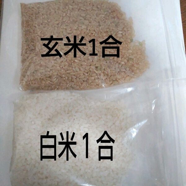 ちょこっと米★白米1合、玄米1合混合2合 分けて袋につめます。健康と美容に！令和5年秋収穫