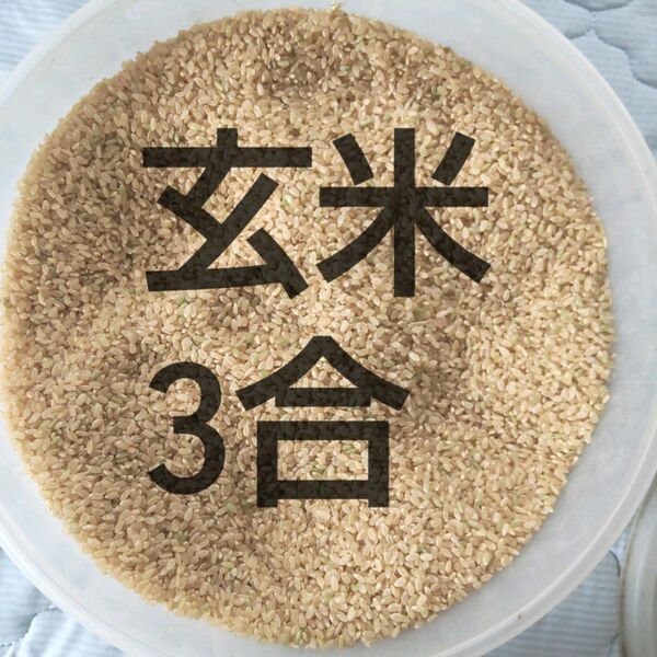 ちょこっと米★岐阜ハツシモ玄米 3合 約450g 令和 5年秋収穫健康と美容に！