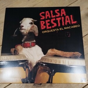 ORQUESTA EL MACABEO / SALSA BESTIAL / VAMPI SOUL / LATIN / SALSA / BOOGALOO / 現行ラテン / LP