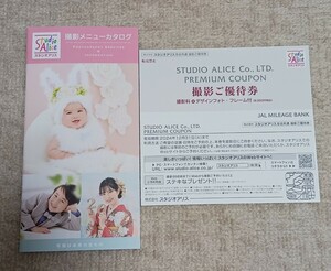  Studio Alice * photographing . complimentary ticket *1 sheets *8000 jpy corresponding * new goods * unused 