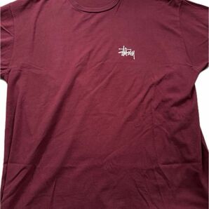 STUSSY 半袖Tシャツ