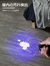 懐中電灯 UV 21LED 紫外線 硬化ライト レジン用 釣り ライト uvライト 紫外線ライト ブルーライト UVライト ブラッ_画像5