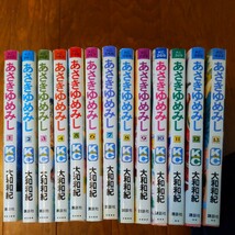 ★源氏物語 あさきゆめみし　大和和紀　★全巻セット★１～１３巻 １３冊★ 講談社　_画像1