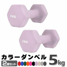 未使用 ダンベル 5kg 2個セットカラーダンベル 鉄アレイ ダンベル コンパクト おしゃれ かわいい カラフルダンベル エクササイズ 筋トレ_画像1