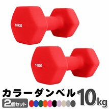 未使用 ダンベル 10kg 2個セットカラーダンベル 鉄アレイ ダンベル コンパクト おしゃれ かわいい カラフルダンベル エクササイズ 筋トレ_画像1