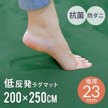 未使用 ラグ 厚手 洗える カーペット 3畳 200x250cm 極厚23mm 低反発ウレタン オールシーズン ペット 子供 絨毯 抗菌 防ダニ_画像1