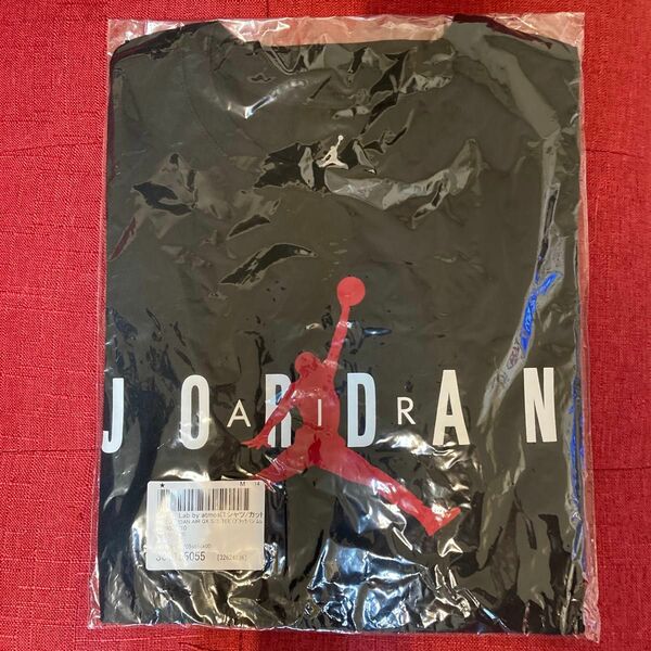 NIKE JORDAN AIR GX TEE JORDAN ロゴ ジャンプマン プリント Tシャツ sup