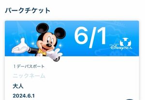 ディズニーシー オンラインショッピング グッズ購入チケット 6/1 入園済