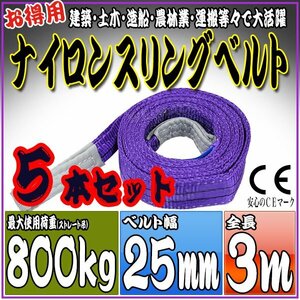 スリングベルト 5本セット 3m 幅25mm 使用荷重800kg 0.8t 吊りベルト ベルトスリング ［ナイロンスリング 吊上げ ロープ 牽引 運搬］