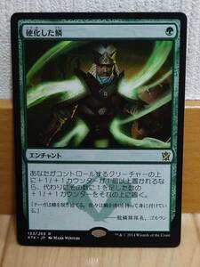 ★☆MTG 【日】硬化した鱗/Hardened Scales[緑R]【KTK】★☆ 全ての商品同梱可能