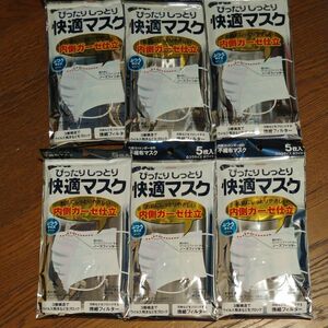 興和 ぴったりしっとり快適マスク ふつうサイズ ホワイト 5枚入×６袋