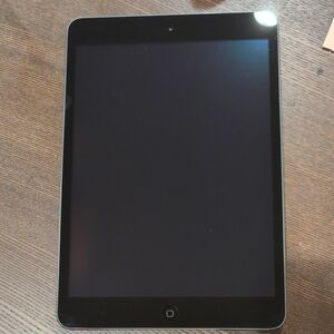 iPad mini 第2世代 Wi-Fiモデル A1489 スペースグレイ 16GB ios 12.5.7