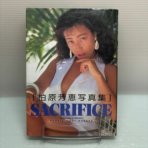 柏原芳恵写真集　Ｓａｃｒｉｆｉｃｅ 佐藤健／撮影