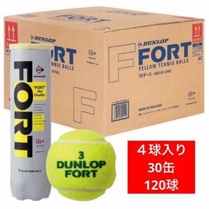 DUNLOP FORT テニスボール　　　　　　　　　　　　　４球入 １箱（30缶/120球)