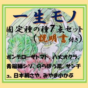 一生モノ、固定種の種〜7点セット〜【説明書付き&匿名配送】(野菜の種)