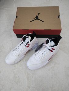 Nike Air Jordan 12 Retro　26cm