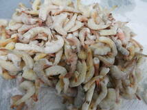 1 kilogram head less freezing shrimp frozen bait feed bait large fish old fee fish osteoglossids fresh water ei