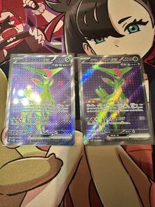 ポケモンカード　テツノイサハex SR2枚