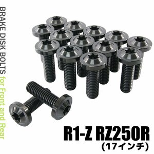 メール便OK！ チタンボルト ヤマハ R1-Z RZ250R 17インチ専用 ブレーキディスクボルト 前後セット フロント リア 15本セット ブラック