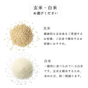 米 10kg 5kg×2袋 はえぬき 山形県産 新米 お米 送料無料 玄米 白米 令和5年産 精米無料 一等米 30kg 20kg も販売中の画像5