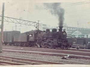 昭和鉄道写真：東海道本線豊橋駅の入換専用機C50 95[豊橋]。1968年7月撮影。8.2×11.3㎝。