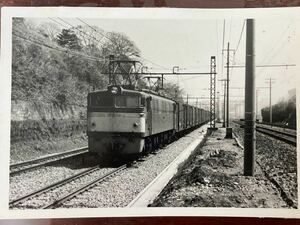 昭和鉄道写真：東海道本線複々線区間を往くEF60 16[浜松]牽引貨物列車。1975年撮影。7.7×11.2㎝。